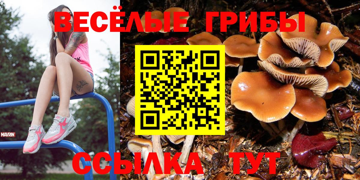 Галлюциногенные грибы Magic Shrooms  Вход с VPN  Туапсе  Псилоцибиновые грибы MAGIC MUSHROOMS 